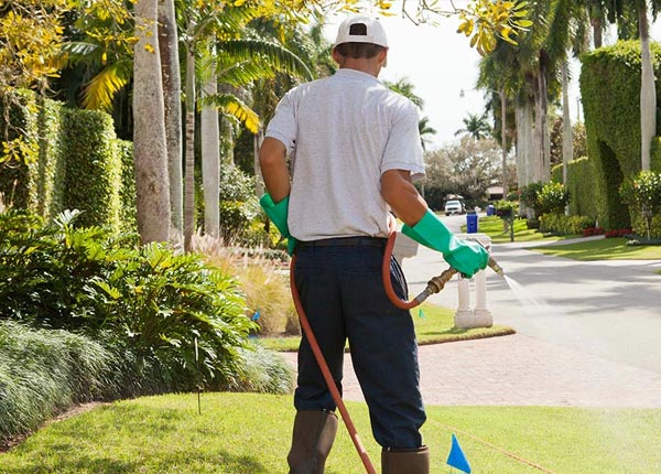 About Kanawha Falls WV Pest Control